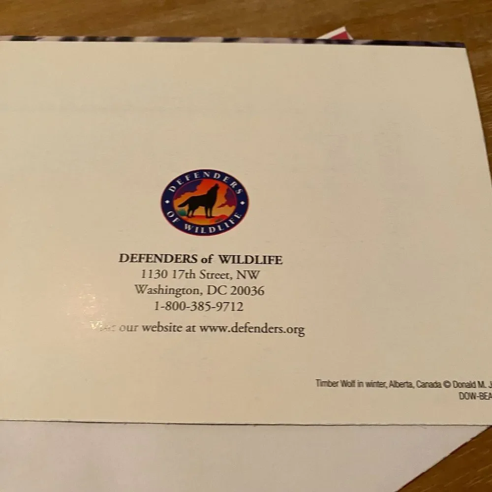 Defenders of Wildlife Black Wolf Winter Season Greeting‎ Merry Christmas Card